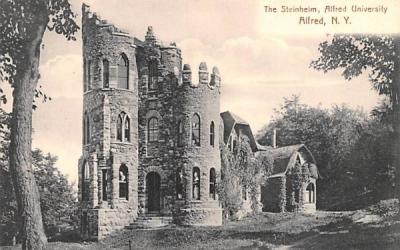 The Steinheim Alfred, New York Postcard