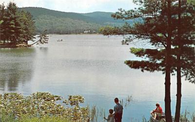 Red House Lake Allegany State Park, New York Postcard