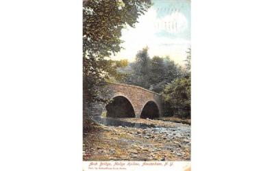 Arch Bridge Amsterdam, New York Postcard