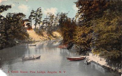 Creek Scene Angola, New York Postcard