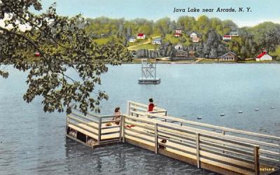 Java Lake Arcade, New York Postcard