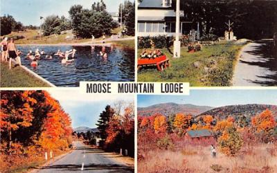Moose Mountain Lodge Athol, New York Postcard
