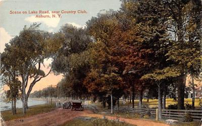 Lake Road Auburn, New York Postcard