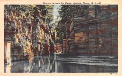 Coming through the Flume Ausable Chasm, New York Postcard