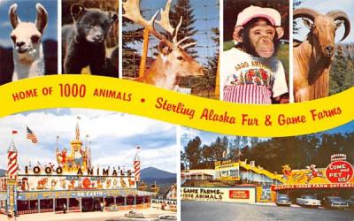 Sterling Alaska Fur & Game Farms Ausable Chasm, New York Postcard