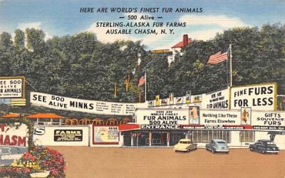 Sterling Alaska Fur & Game Farms Ausable Chasm, New York Postcard