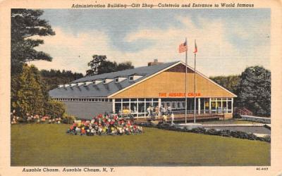 Administration Building Ausable Chasm, New York Postcard