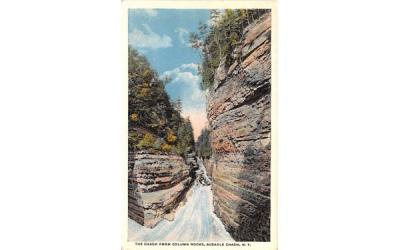 The Chasm From Column Rocks Ausable Chasm, New York Postcard