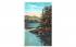 In his native wilds Adirondack Mountains, New York Postcard