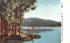 Water View, Deer Adirondack Mountains, New York Postcard