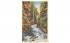 Looking up the River Ausable Chasm, New York Postcard