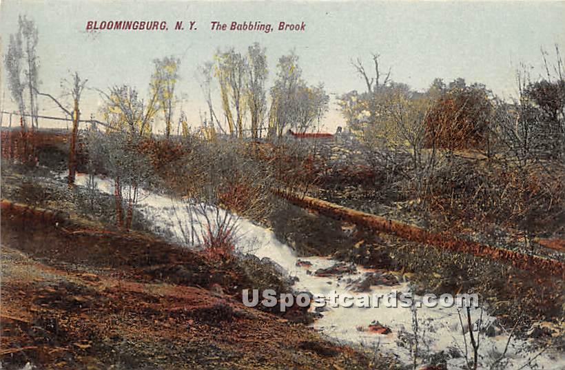 Babbling Rock - Bloomingburg, New York NY Postcard