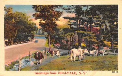 Greetings from Bellvale, New York Postcard