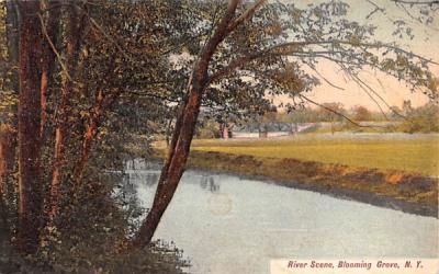 River Scene Blooming Grove, New York Postcard