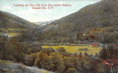 Pine Hill   Big Indian, New York Postcard