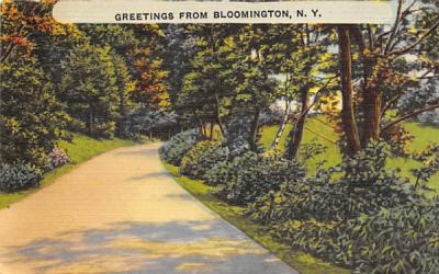 Greetings from Bloomington, New York Postcard