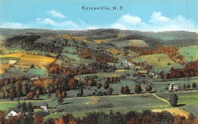 Boiceville NY New York Postcard