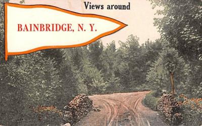 Views Around Bainbridge, New York Postcard