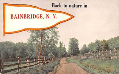 Back to Nature Bainbridge, New York Postcard