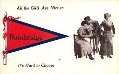 All the Girls are nice Bainbridge, New York Postcard