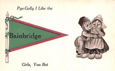 Pye-Golly I Like Bainbridge, New York Postcard