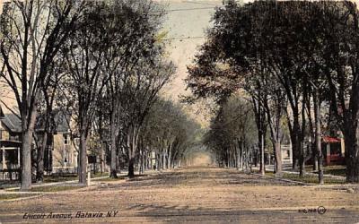 Etticott Avenue Batavia, New York Postcard