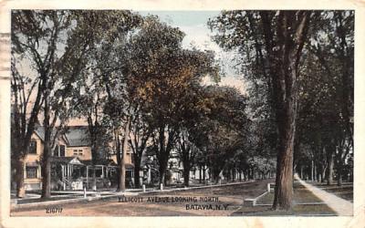 Ellicott Avenue Looking North Batavia, New York Postcard