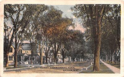 Ellicott Avenue Looking North Batavia, New York Postcard