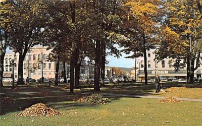 View from Park in Village Square Bath, New York Postcard