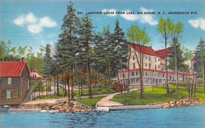 Lakeview Lodge form Lake Big Moose, New York Postcard