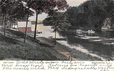 Lily Lake Binghamton, New York Postcard