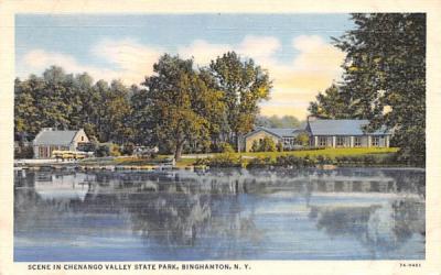Chenango Valley State Park Binghamton, New York Postcard