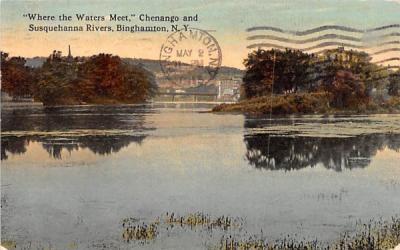 Chenango & Susquehanna Rivers Binghamton, New York Postcard