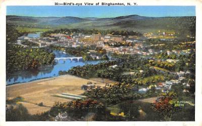 Bird's Eye View Binghamton, New York Postcard