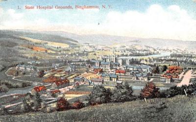 State Hospital Grounds Binghamton, New York Postcard