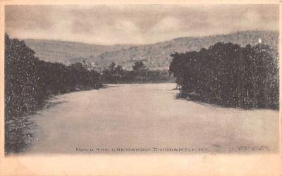 Down the Chenango River Binghamton, New York Postcard