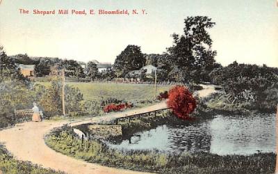Shepard Mill Pond Bloomfield, New York Postcard