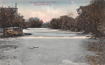 Honeoye Creek Bloomfield, New York Postcard