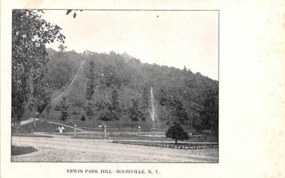 Erwin Park Hill Boonville, New York Postcard