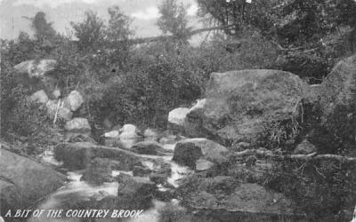 Bit of the Country Brook Bovina Center, New York Postcard