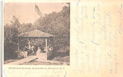 Chalybeate Springs Brushton, New York Postcard