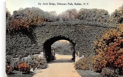Ivy Arch Bridge Buffalo, New York Postcard