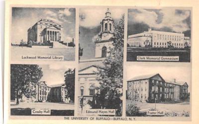 The University of Buffalo New York Postcard