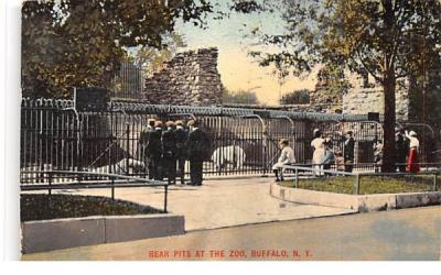 Bear Pits at the Zoo Buffalo, New York Postcard