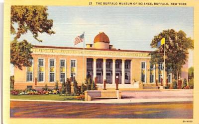 Buffalo Museum of Science New York Postcard