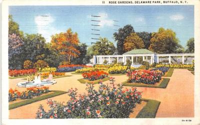 Rose Gardens Buffalo, New York Postcard