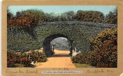 Ivy Arch Buffalo, New York Postcard