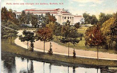 Park, Drive & Albright Art Gallery Buffalo, New York Postcard