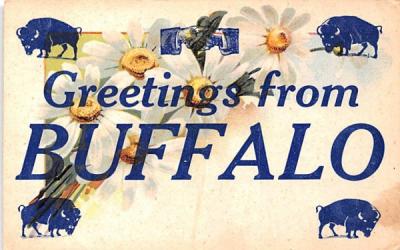 Greetings from Buffalo, New York Postcard