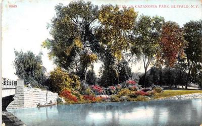 Cazanovia Park Buffalo, New York Postcard